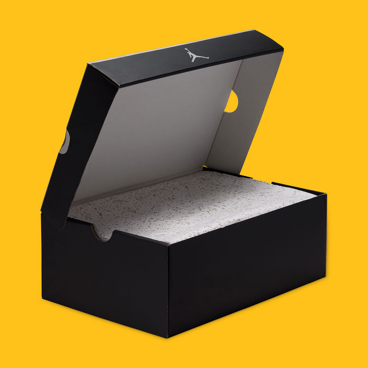 Air Jordan 4 Lakers Fv5029 500 Release Date 11