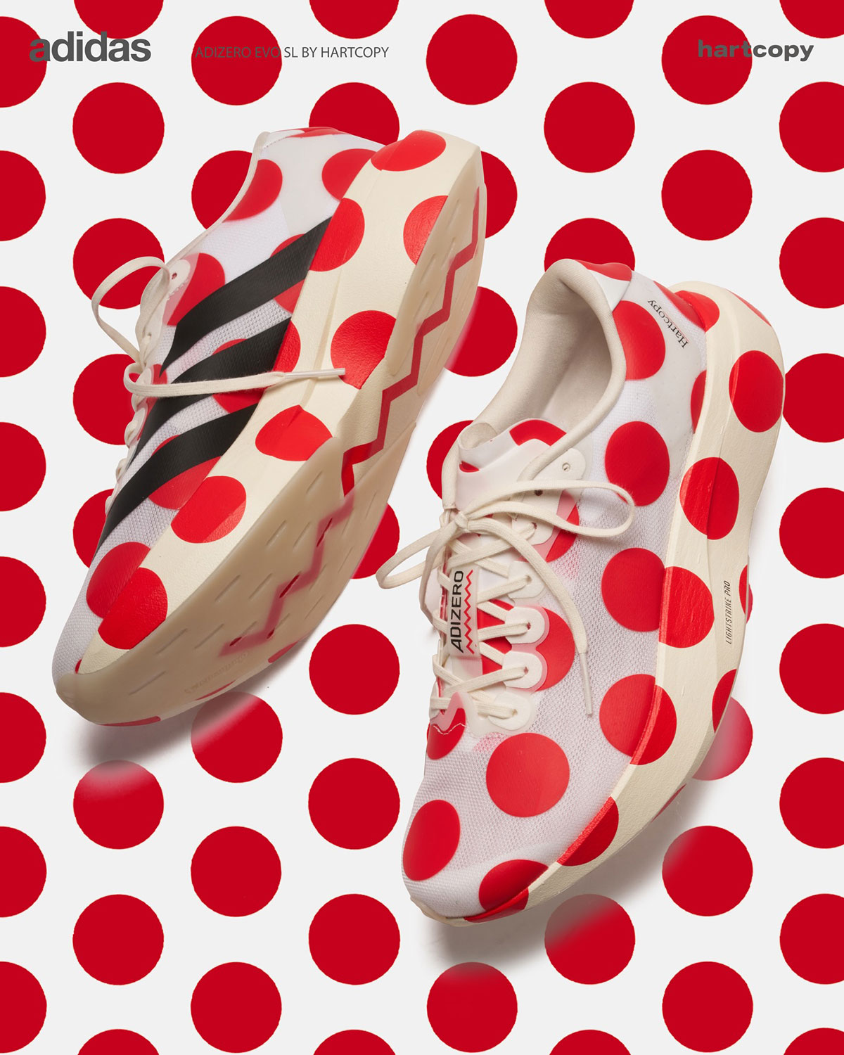 Hartcopy Adidas Evo Sl 2