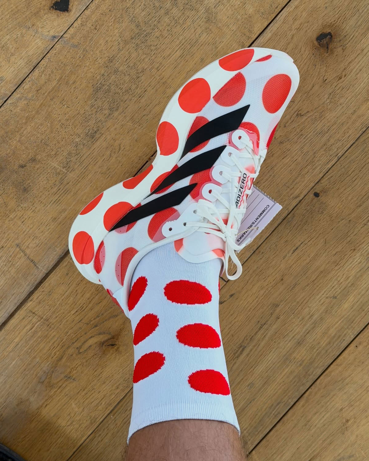 Hartcopy Adidas Evo Sl 5