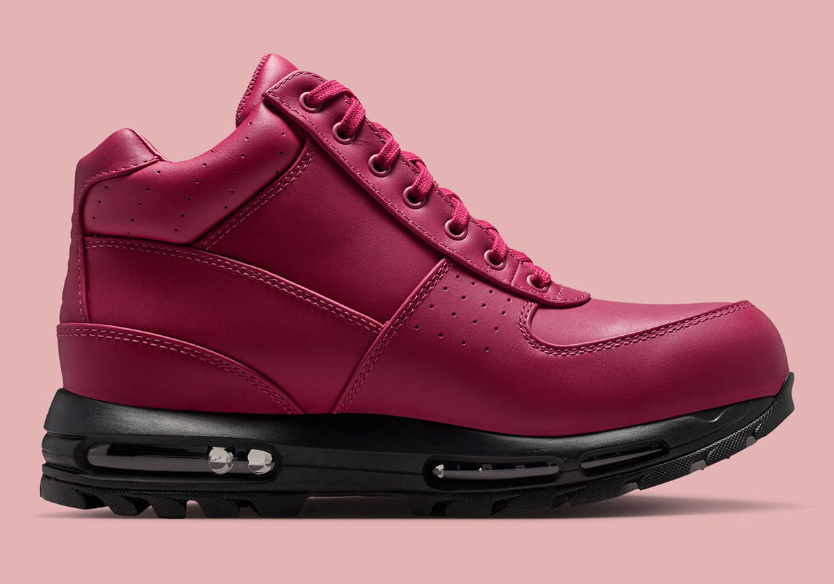 Nike Air Max Goadome Dmv Cherry Blossoms Iq0610 633 3