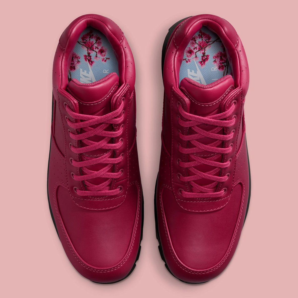 Nike Air Max Goadome Dmv Cherry Blossoms Iq0610 633 4