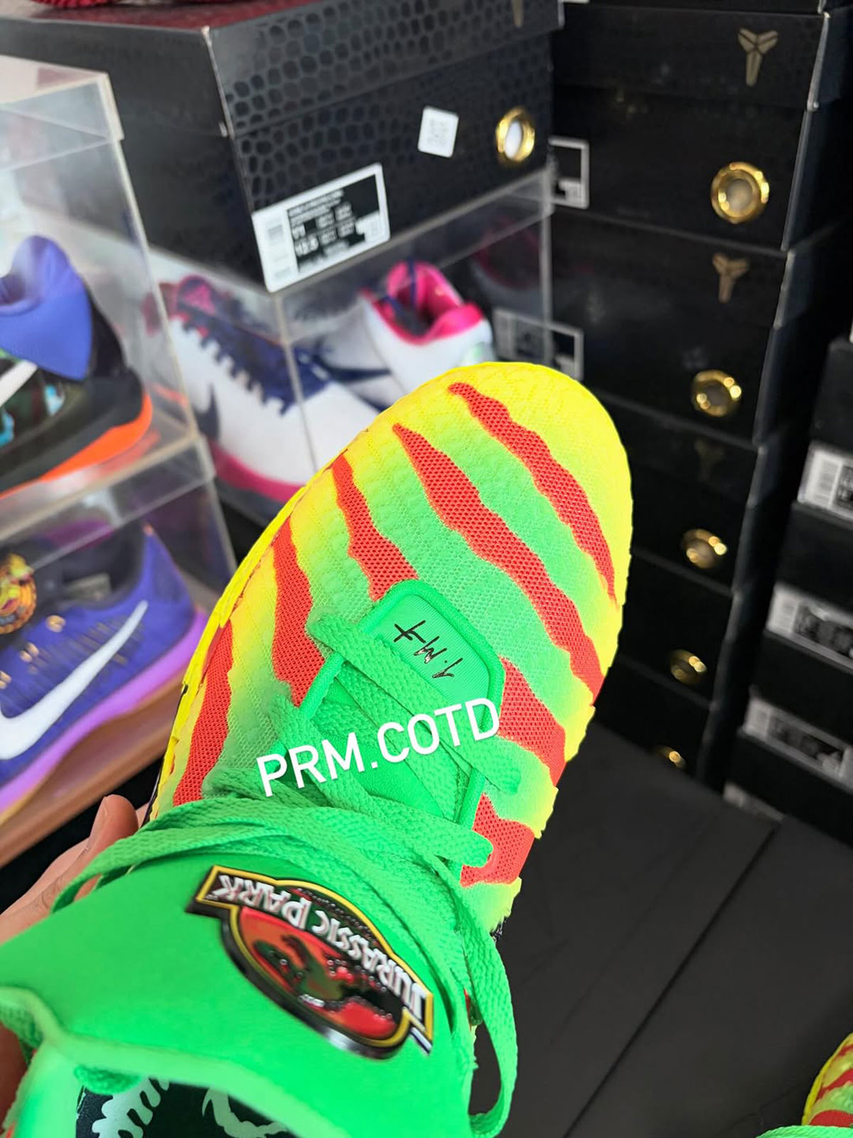 Nike Ja 3 Jurassic Park Iu7240 300 7