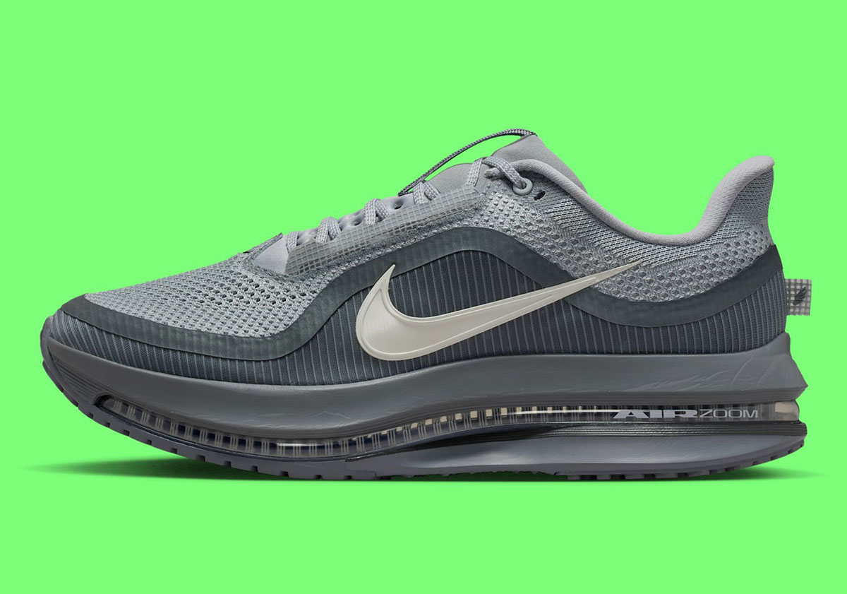 Nike Pegasus Premium Wolf Grey Cool Grey Anthracite Sail Hq2592 013 8