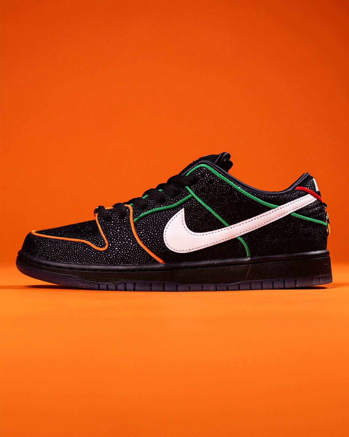 Bronx Girls Skate Nike Sb Dunk Low 3