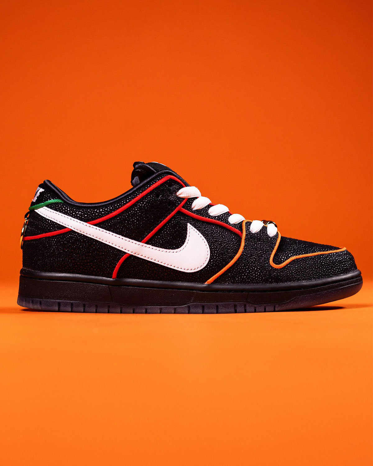 Bronx Girls Skate Nike Sb Dunk Low 4