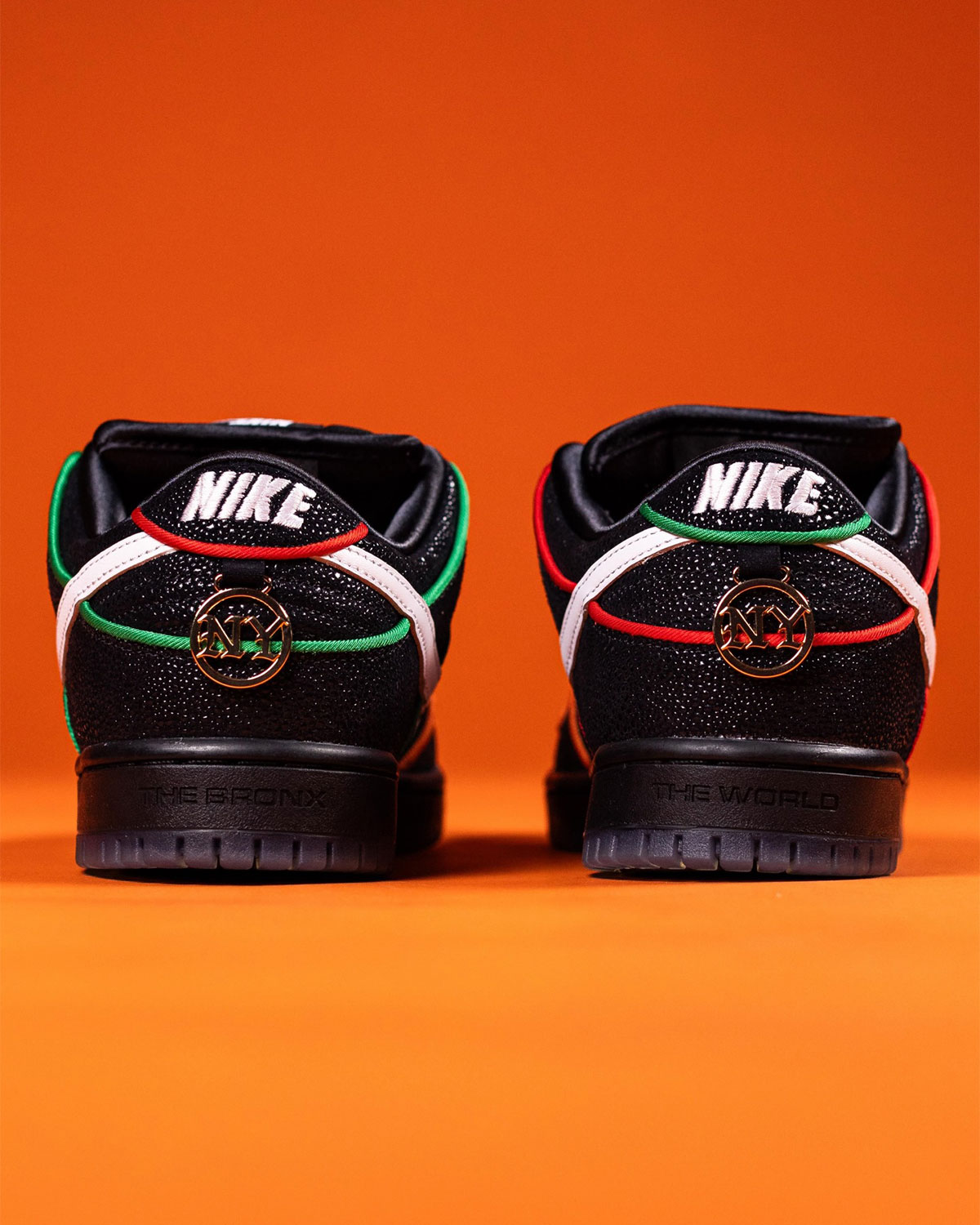 Bronx Girls Skate Nike Sb Dunk Low 6