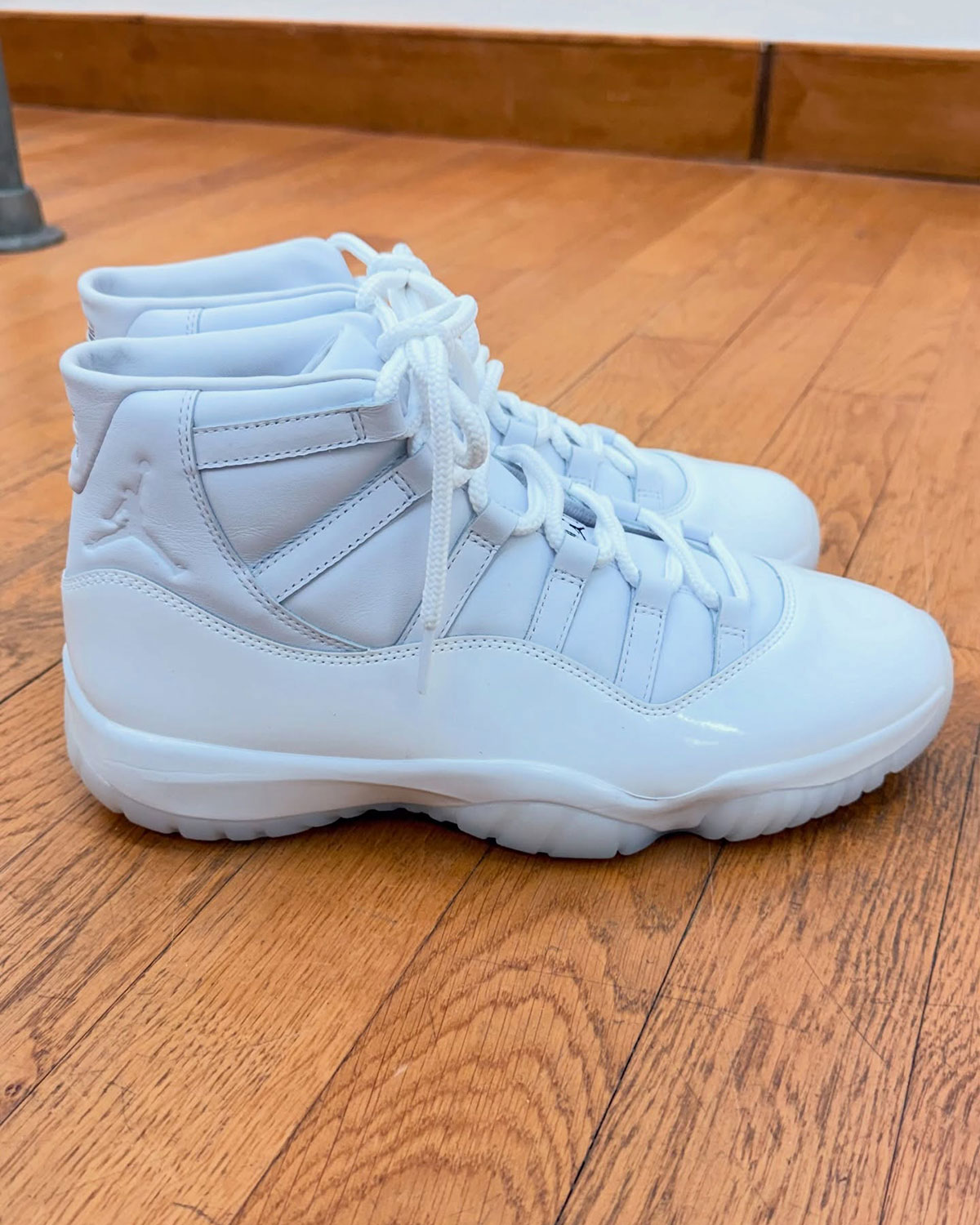 Comme Des Garcons Homme Plus Air Jordan 11 6