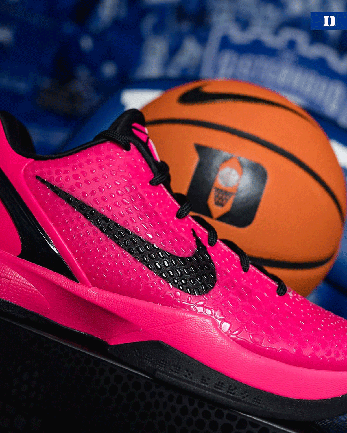 Nike Kobe 6 Protro Kay Yow 2026 4