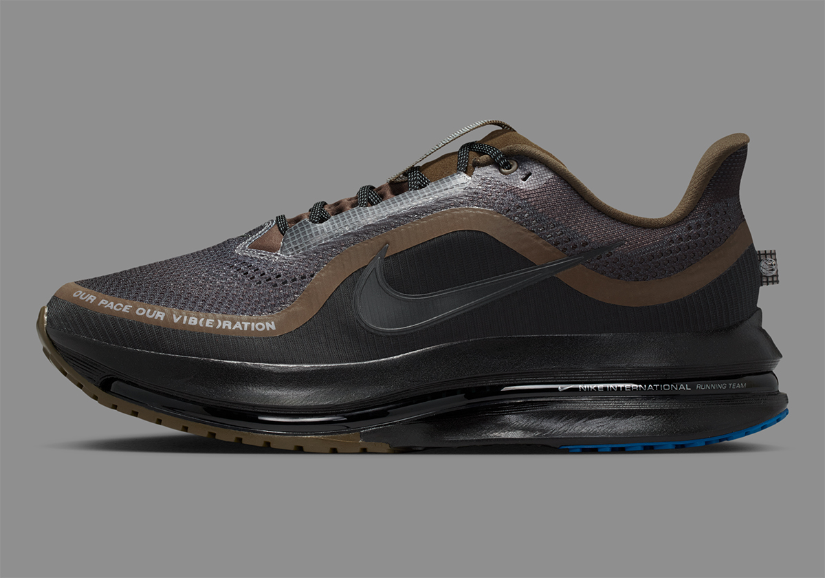 Nike Pegasus Premium Our Pace Our Vibration Iq3435 045 11