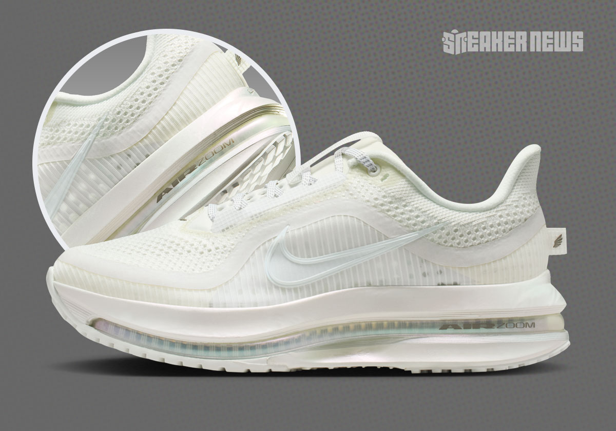 “Pure Platinum” Coats The Nike Pegasus Premium