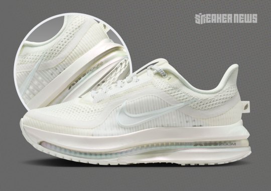 "Pure Platinum" Coats The Nike Pegasus Premium