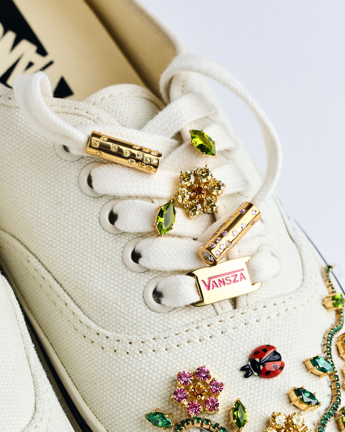 Vans Rachel Goatley Ladybug Garden 1