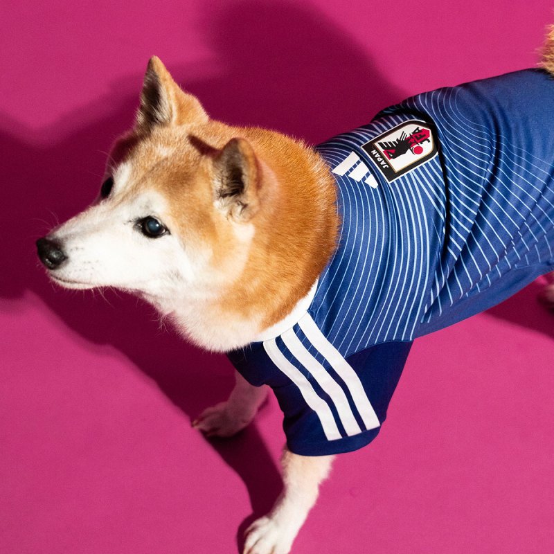 adidas Dog Soccer Jerseys 2026 World Cup | SneakerNews.com