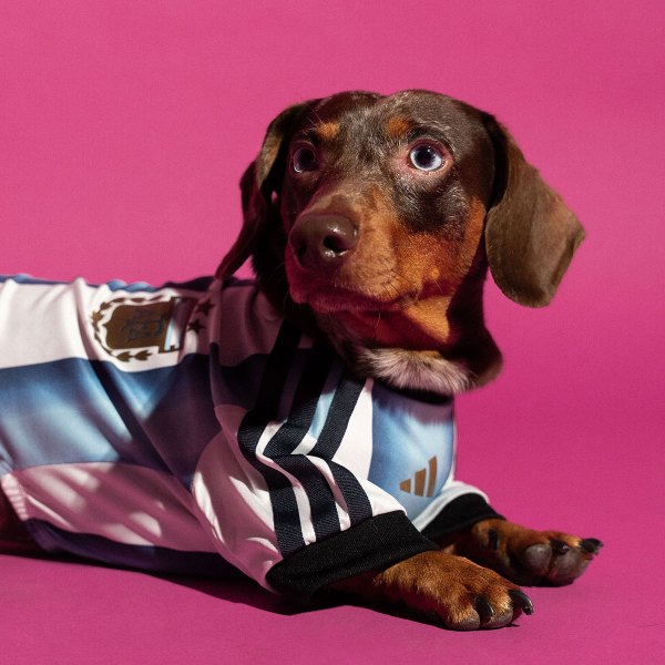 adidas Dog Soccer Jerseys 2026 World Cup | SneakerNews.com