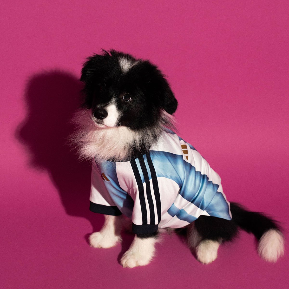 adidas Dog Soccer Jerseys 2026 World Cup | SneakerNews.com