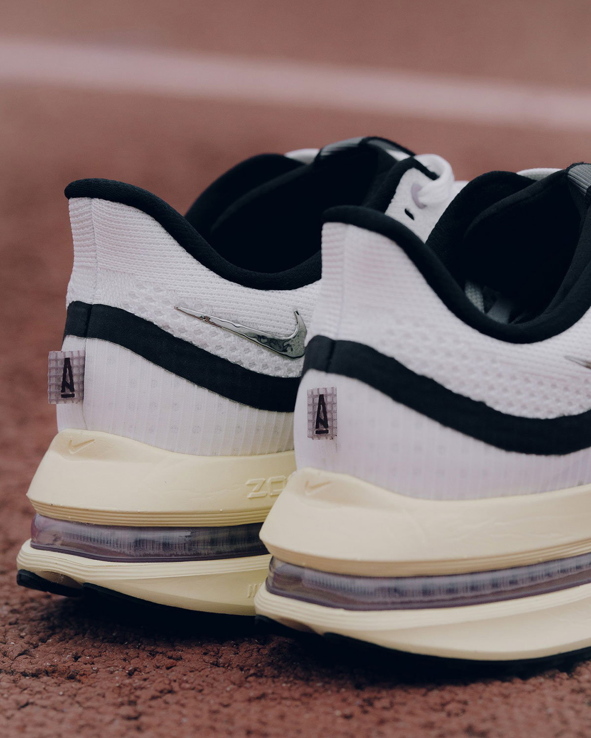 Maniere Nike Pegasus Premium 1