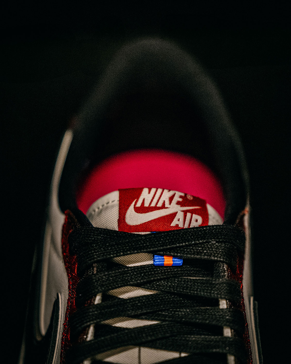 Air Jordan 1 Low Og Last Dance In The Garden 3