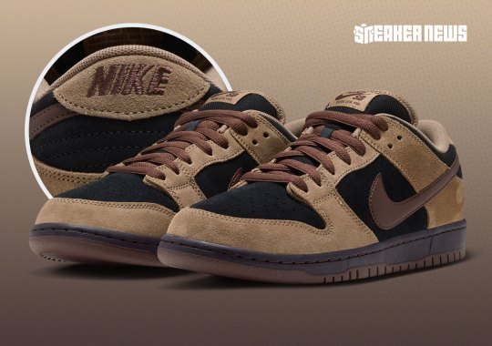 Official Images Of The Nike SB Dunk Low "Light Chocolate"
