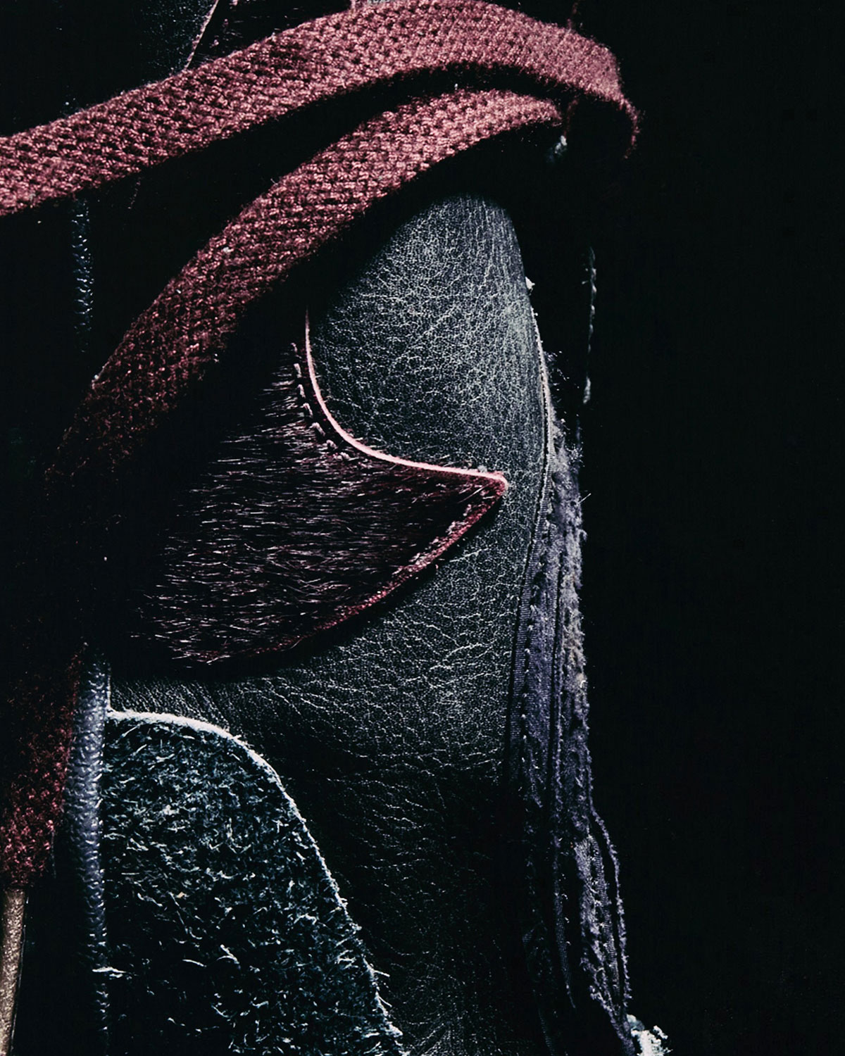 The Odyssey Travis Scott Nike Moon Shoe Cactus Jack 9