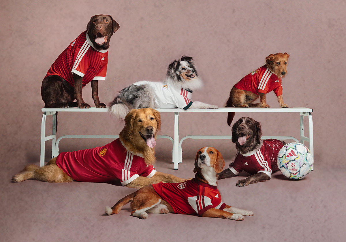adidas Wants Your Pet To Rep Your Favorite Football Club