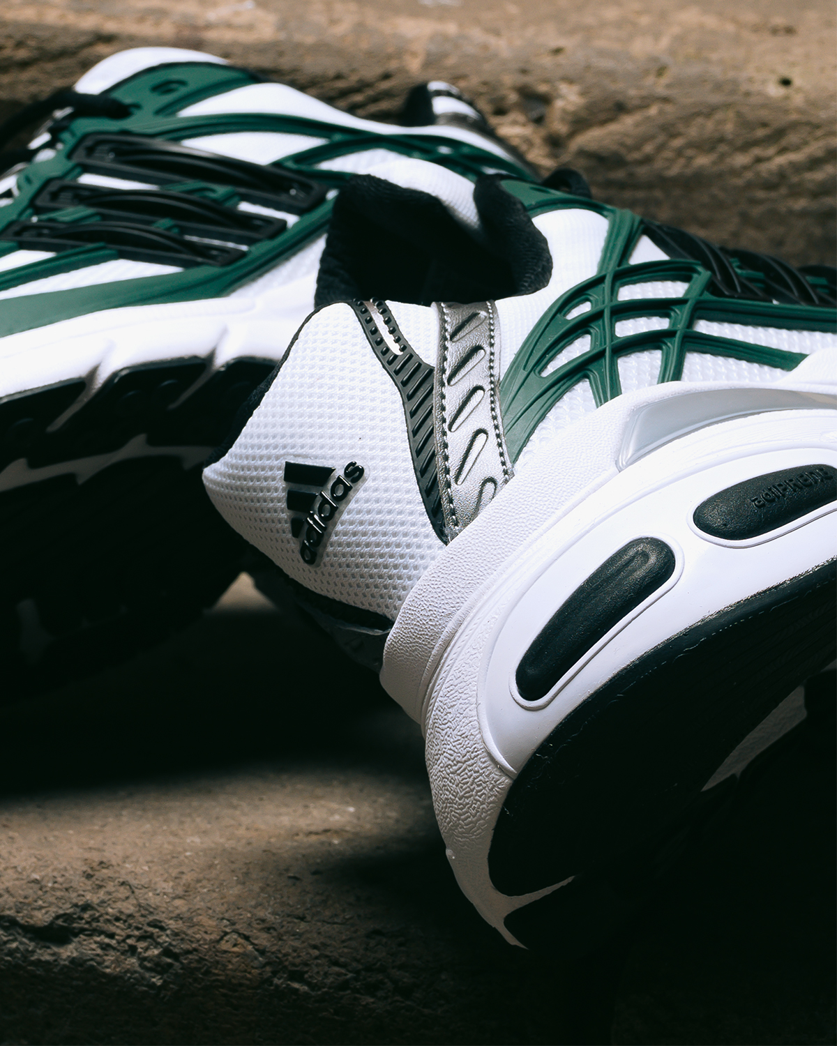 Adidas September 2026 Xlg Gallery 4