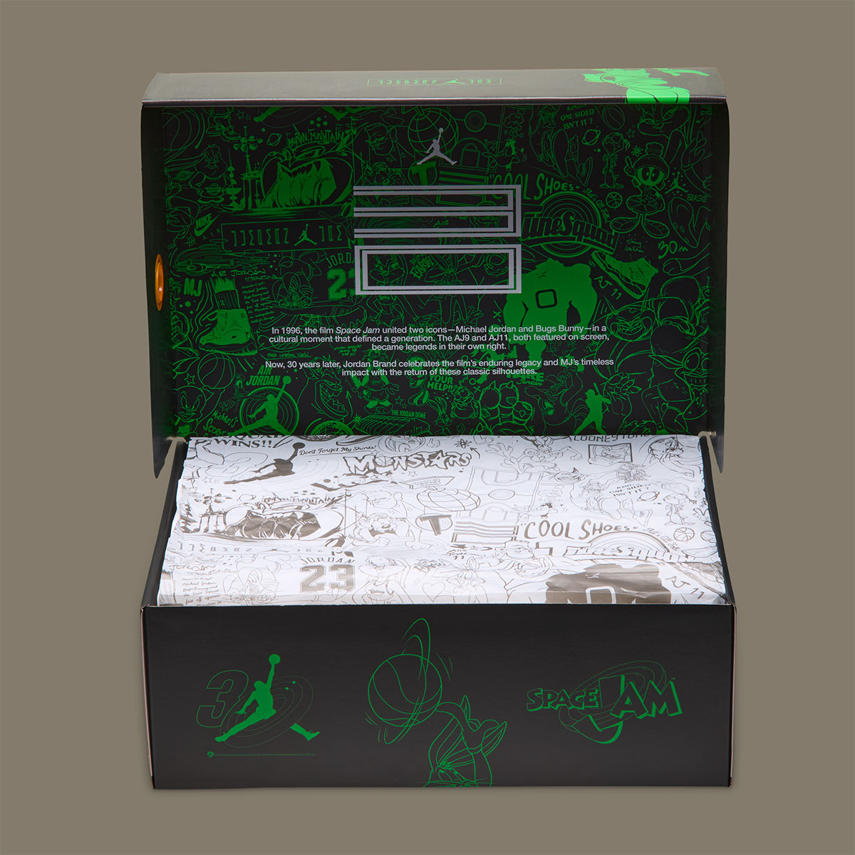 Magic Ball Jordan 11s 9
