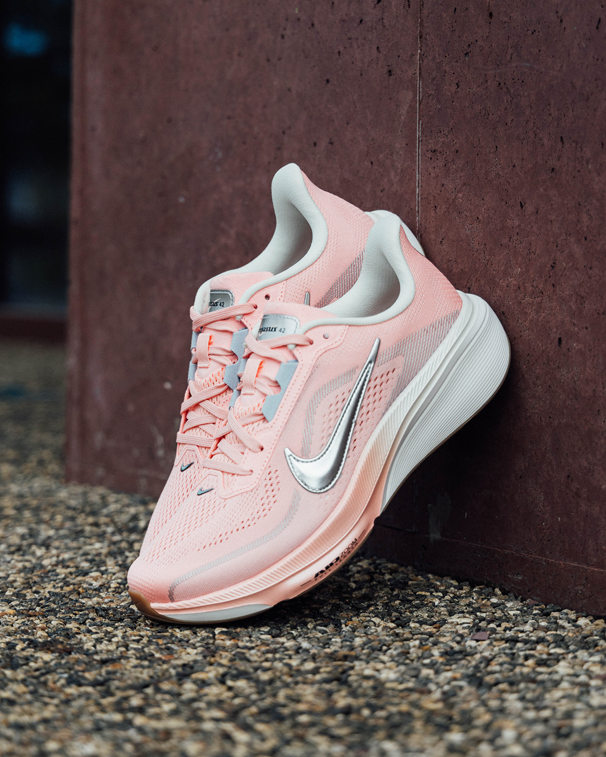 Nike September 2026 Pegasus Gallery 1