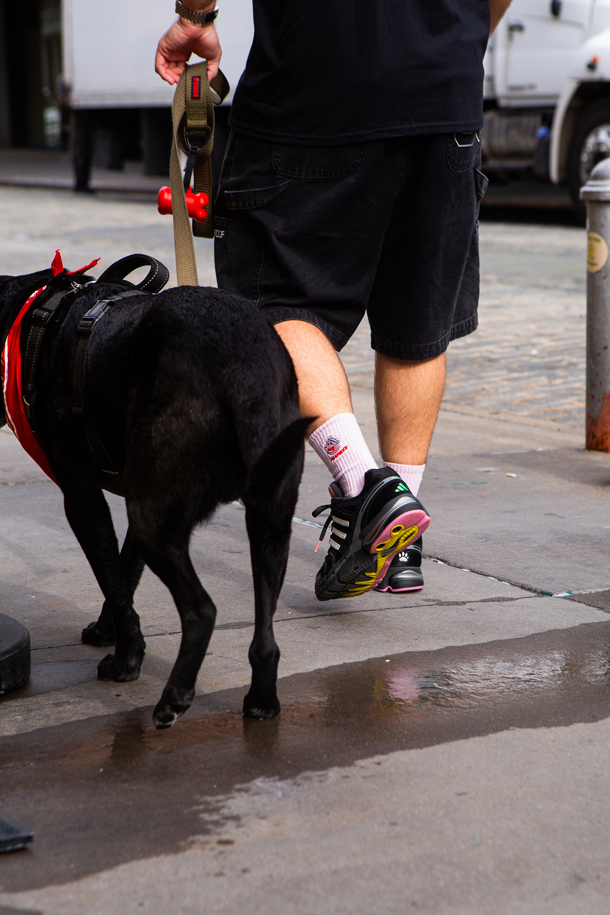 Unheardof Adidas Adistar Control 5 Doggy Runner 13