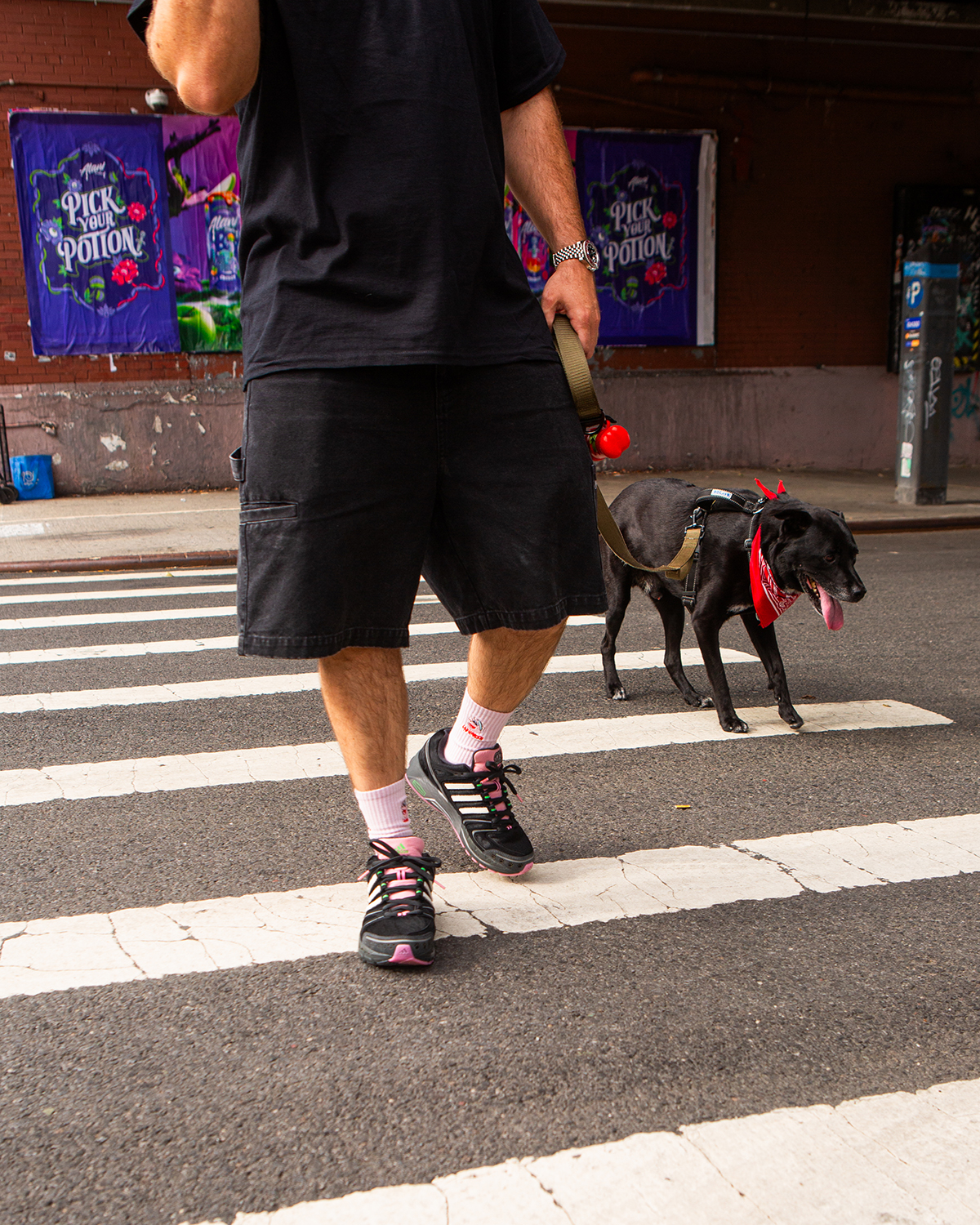 Unheardof Adidas Adistar Control 5 Doggy Runner 15