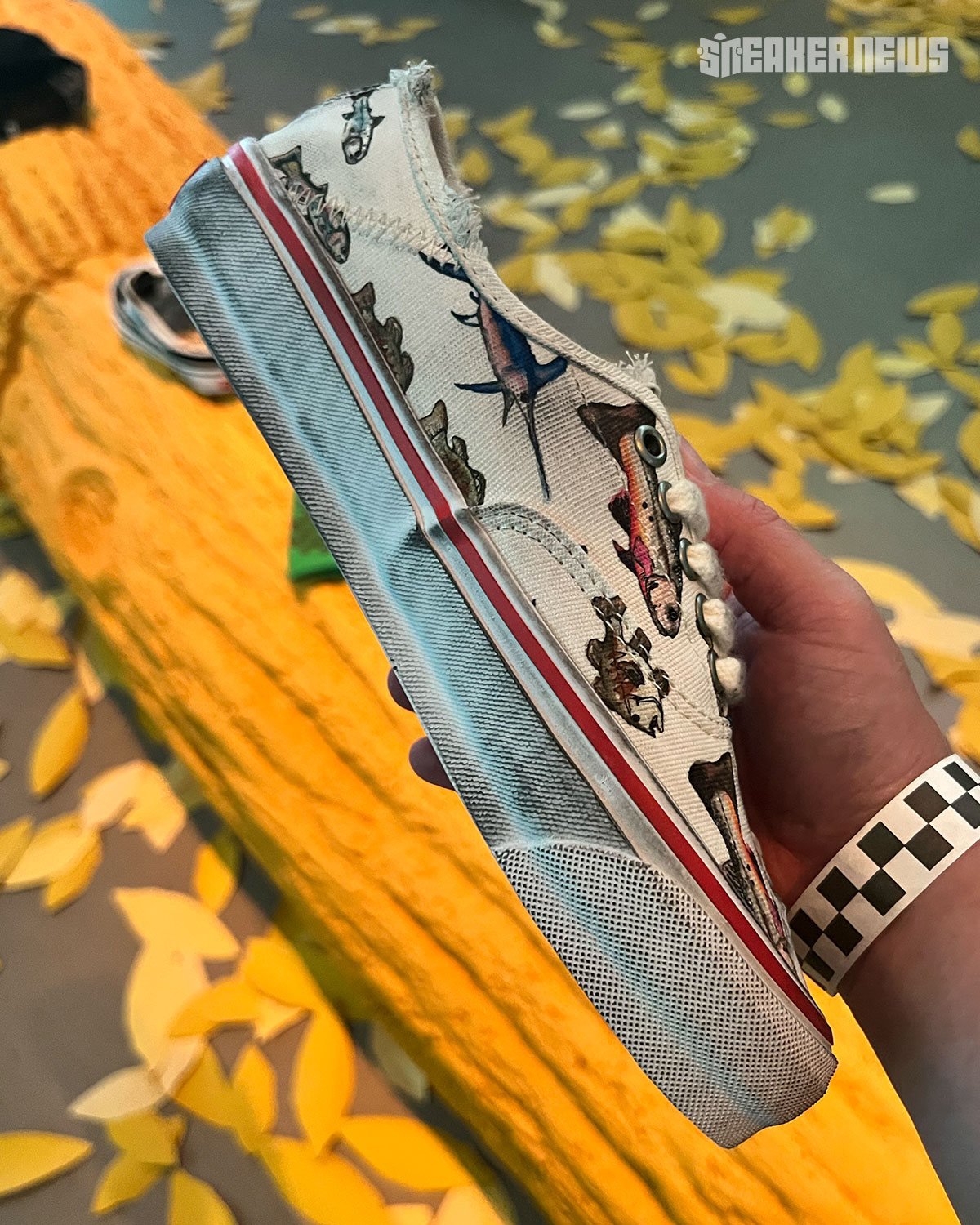 Vans Sza Authentic Fish 2026 4