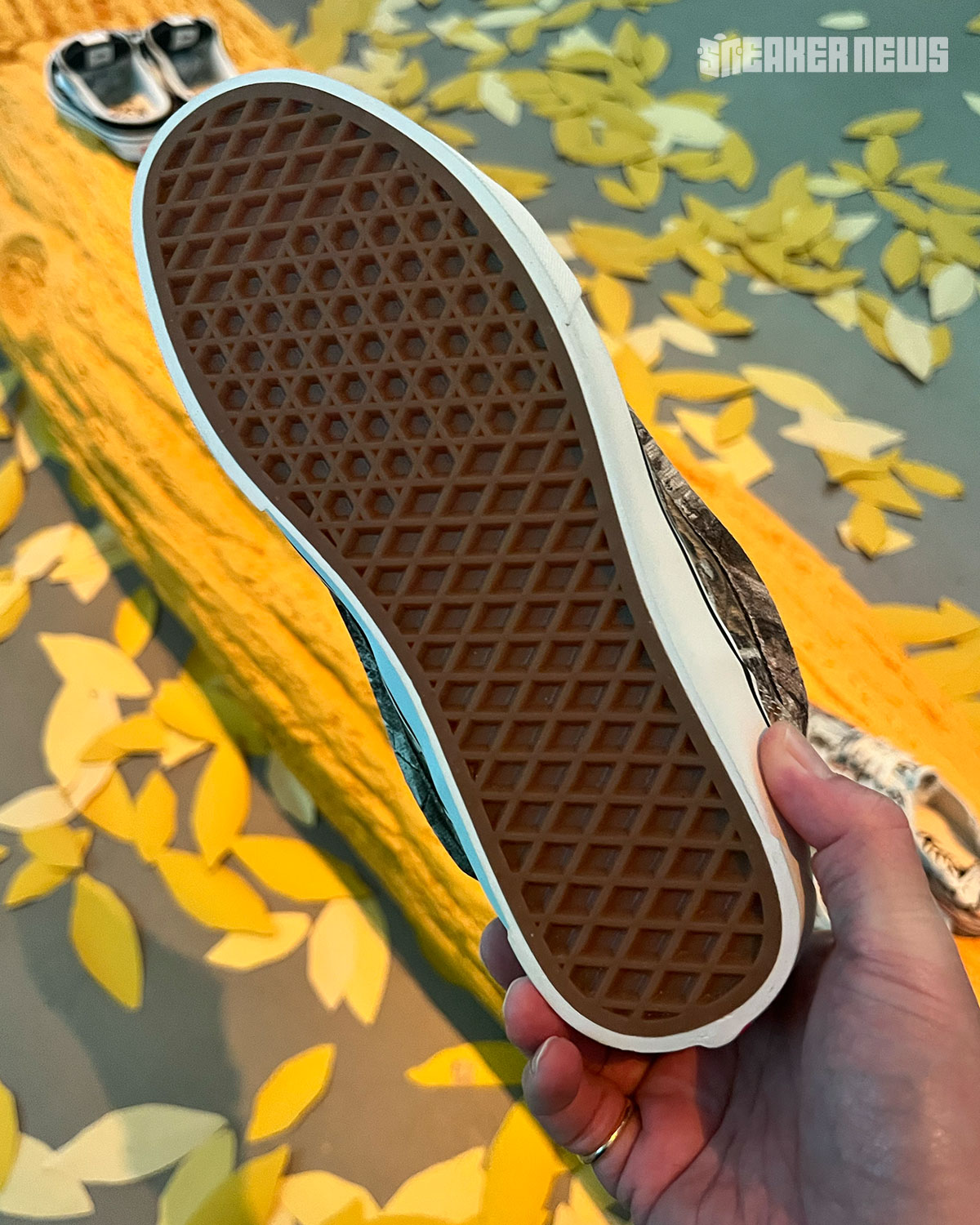 Vans Sza Authentic Fish 2026 5