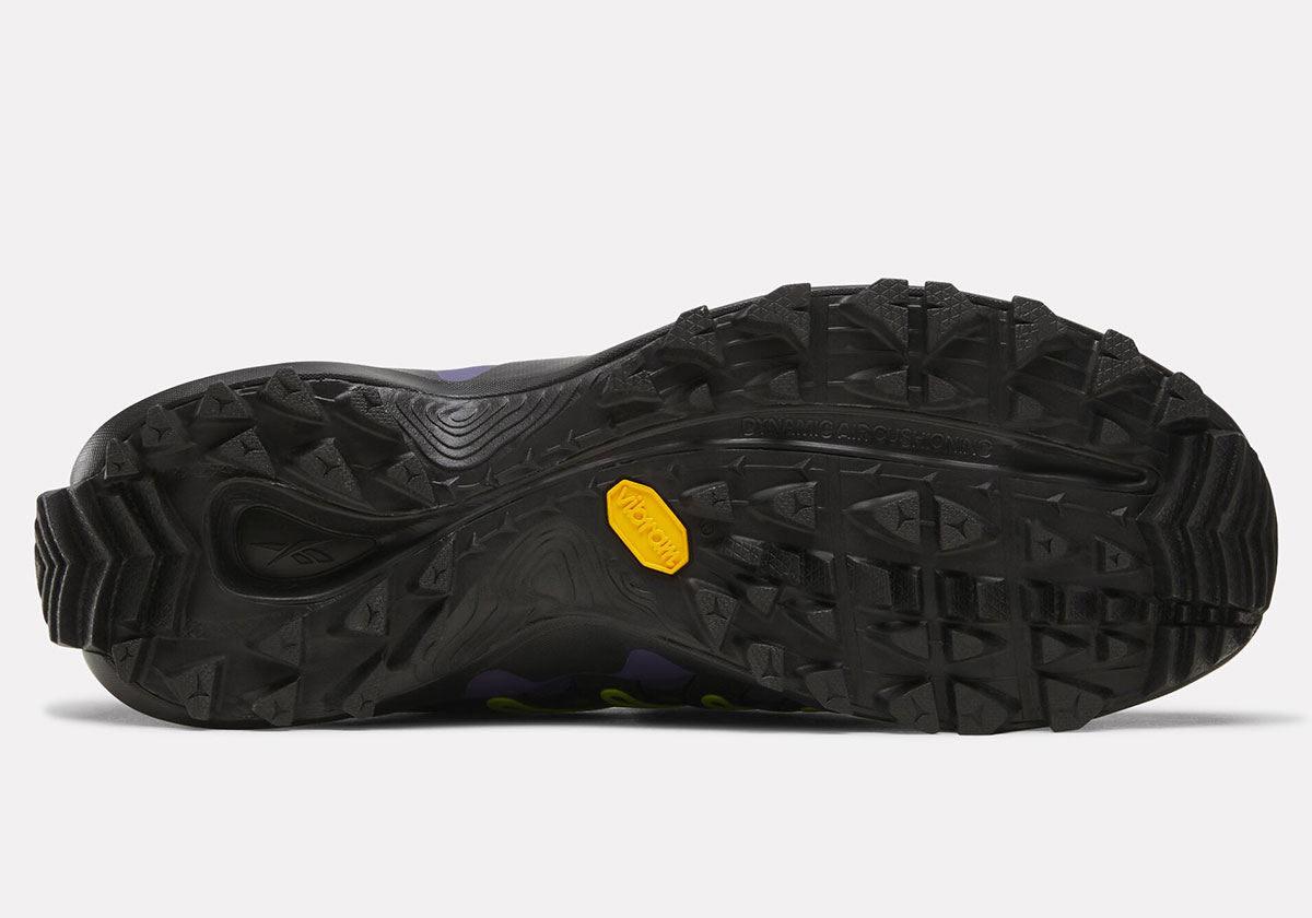 A Herd Of Bison Reebok Dmx Trailzilla Release Date 13