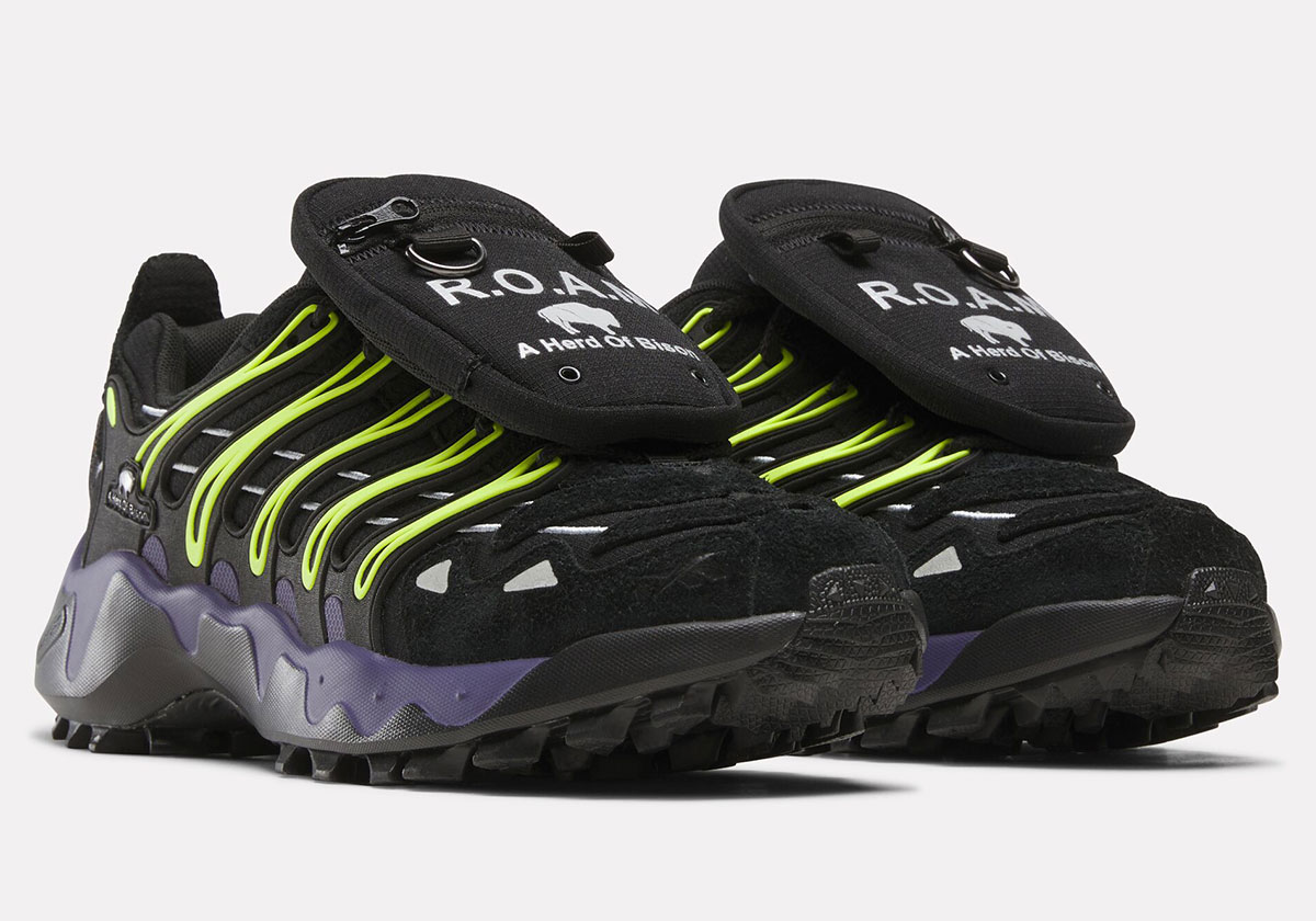 A Herd Of Bison Reebok Dmx Trailzilla Release Date 16