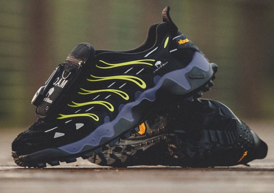Houston's A Herd Of Bison Assists In The The Reebok DMX Trailzillo Rollout