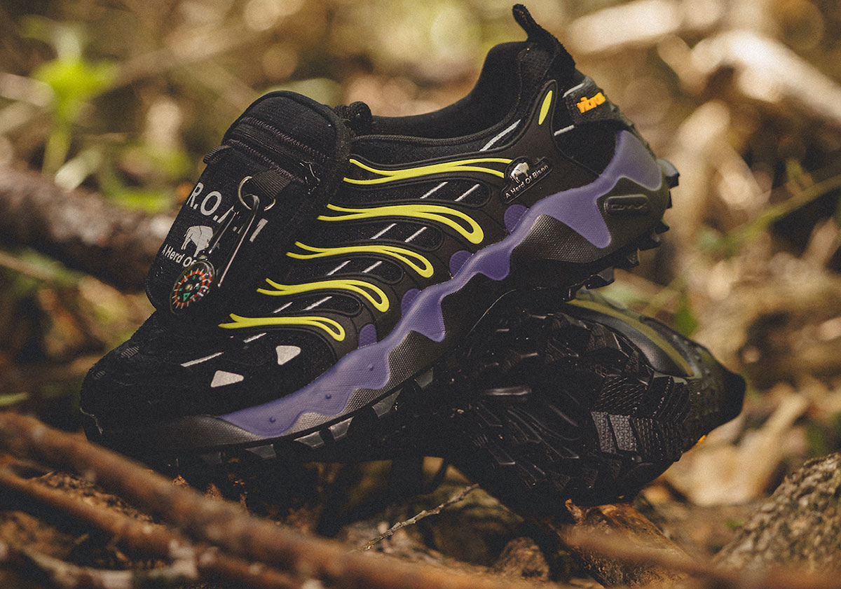 A Herd Of Bison Reebok Dmx Trailzilla Release Date 8