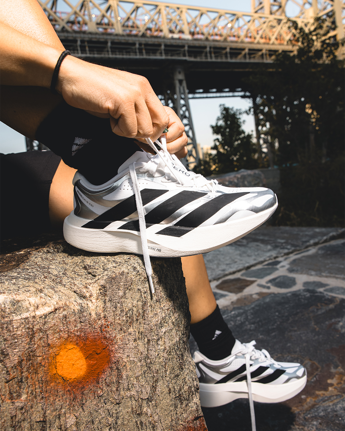 Adidas October 2026 Evo Sl Exo Gallery 1