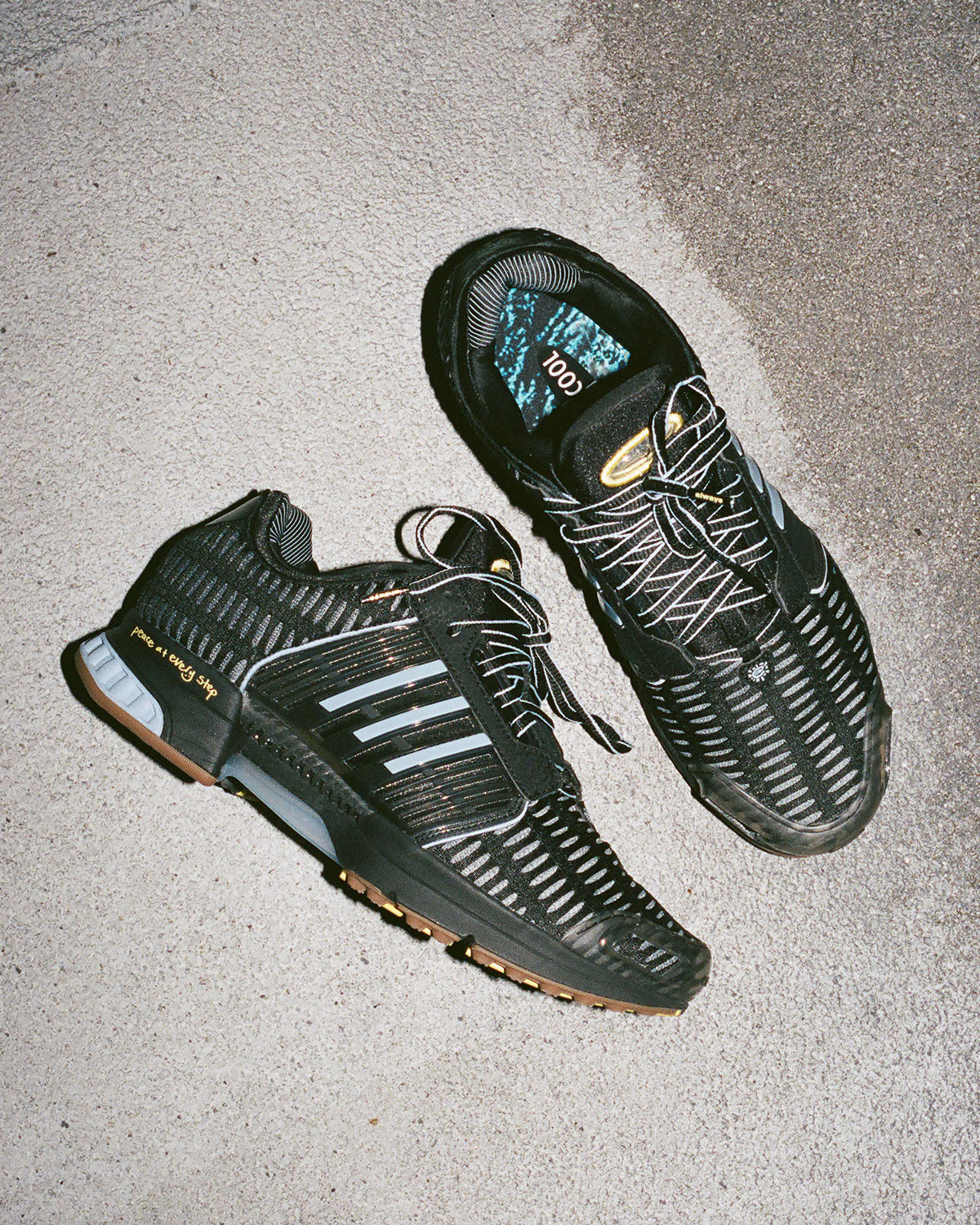 Adwysd Adidas Climacool 1