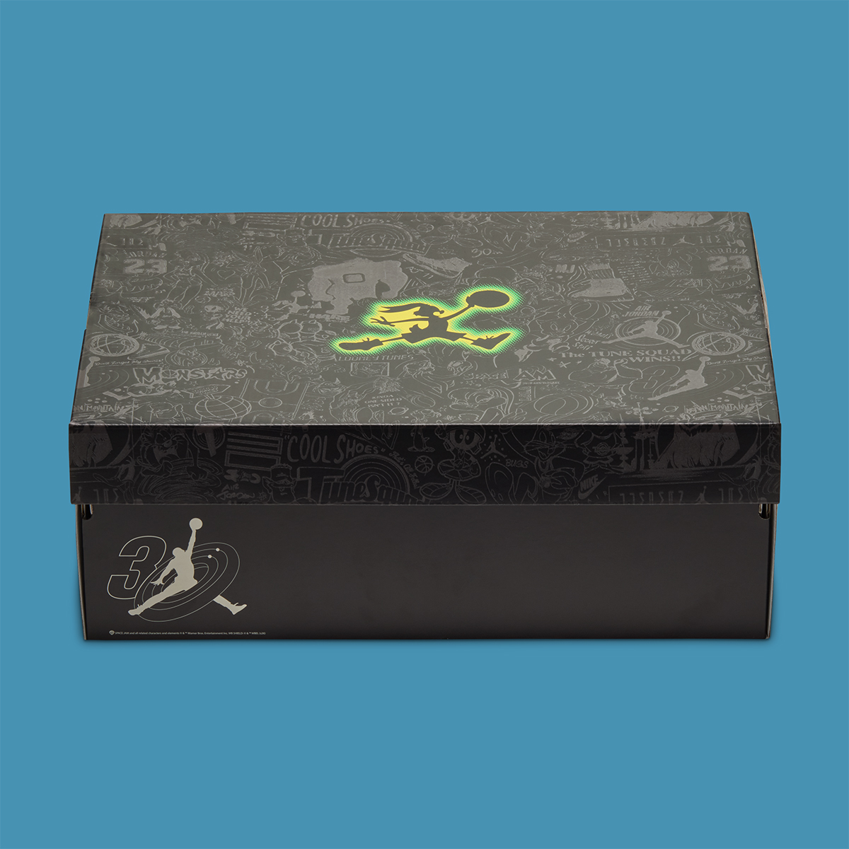 Air Jordan 1 Low Space Jam Ix6375 001 10