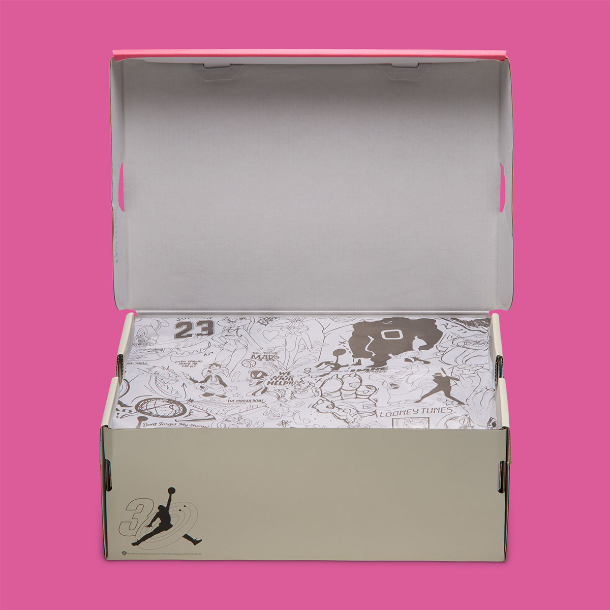 Air Jordan 1 Low Space Jam Wmns Ix6038 100 11