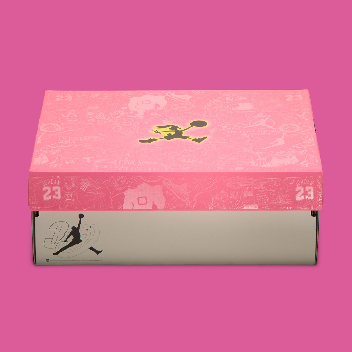 Air Jordan 1 Low Space Jam Wmns Ix6038 100 12