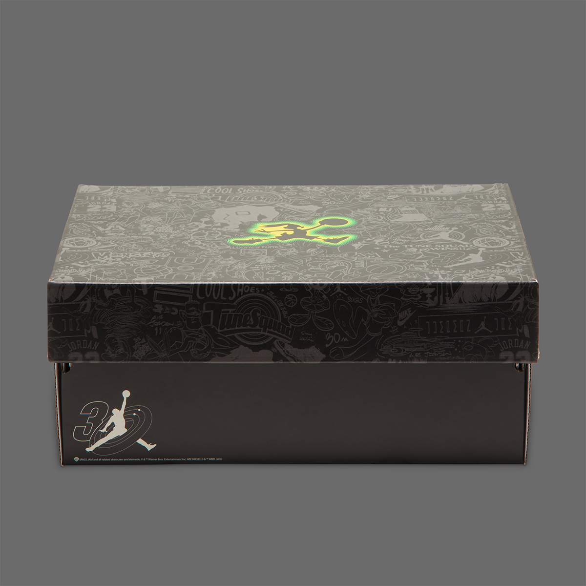Air Jordan 1 Mid Space Jam Iz9293 001 10