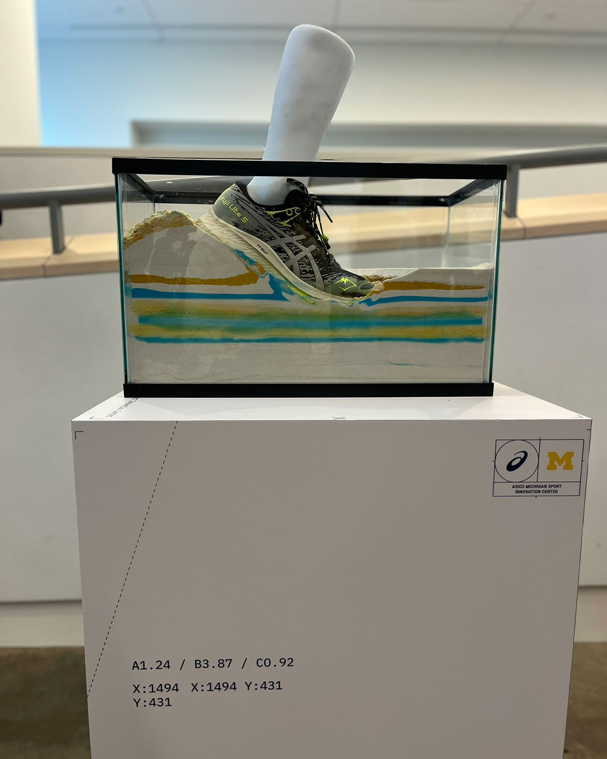 Asics Institute Of Sport Science 1