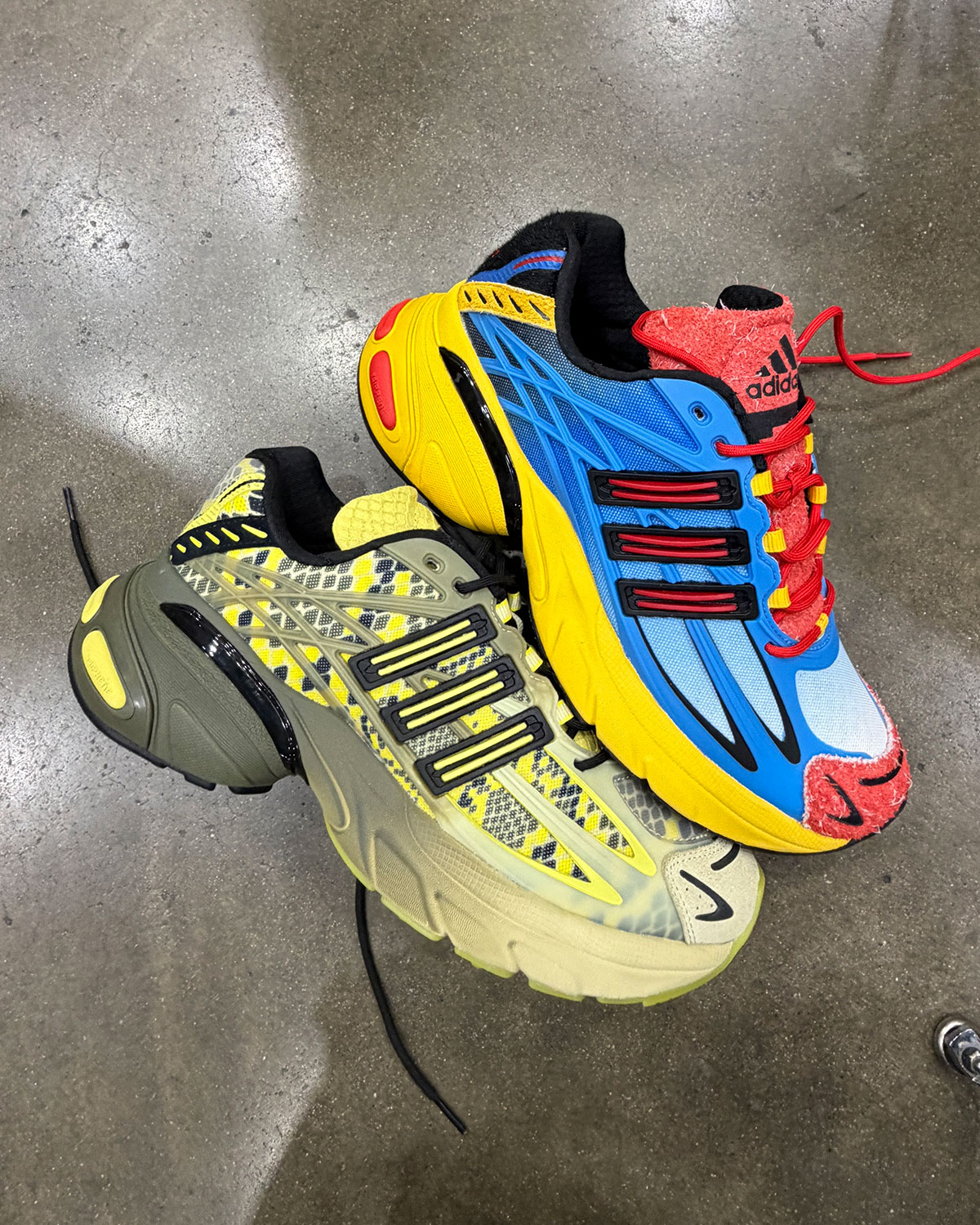 Clicks Adidas Adistar Xlg 2 0 Wild Rivals Pack 2