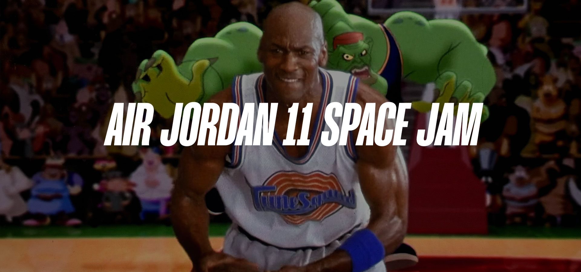 Jordan 11 Space Jam Banner