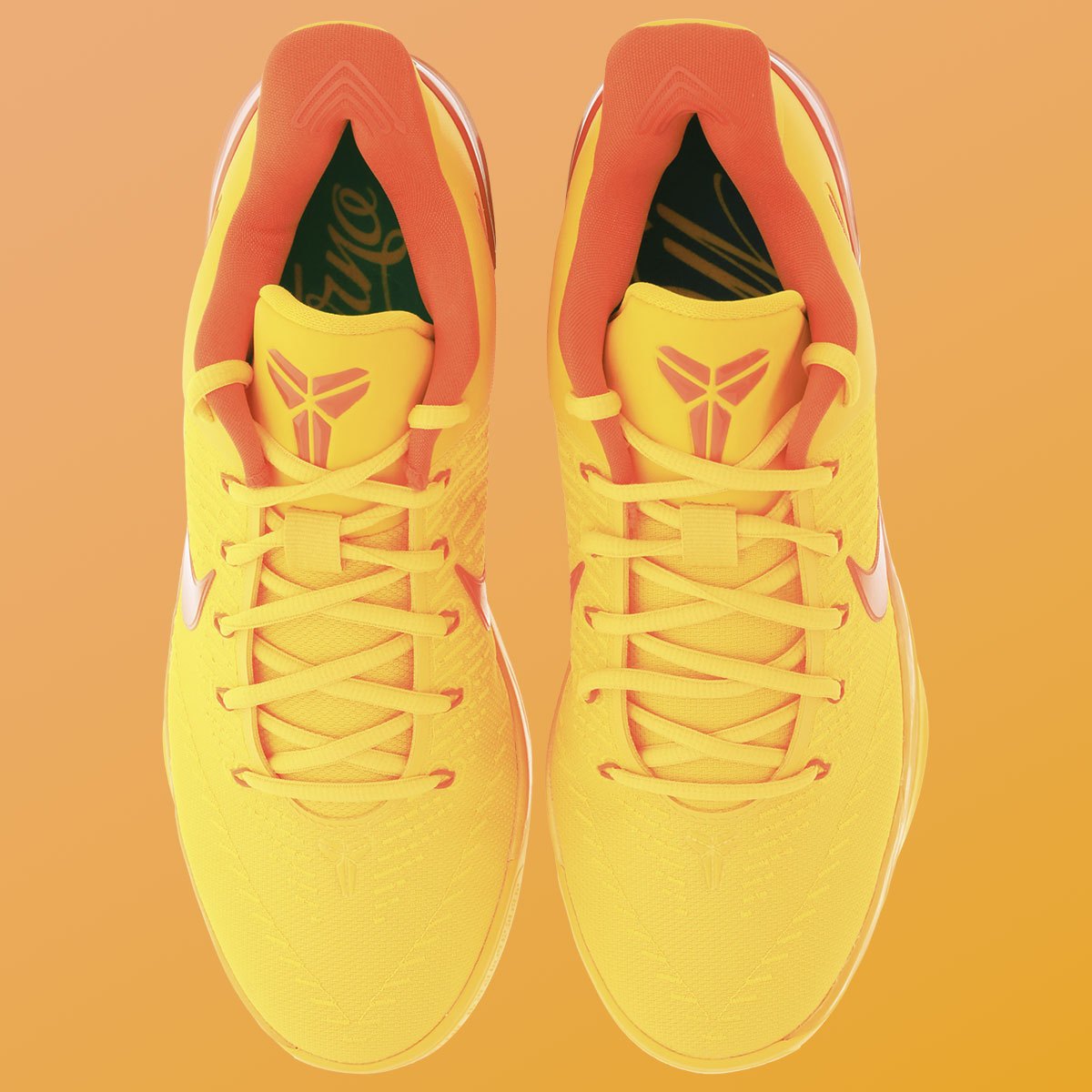 Nike Kobe AD Protro 