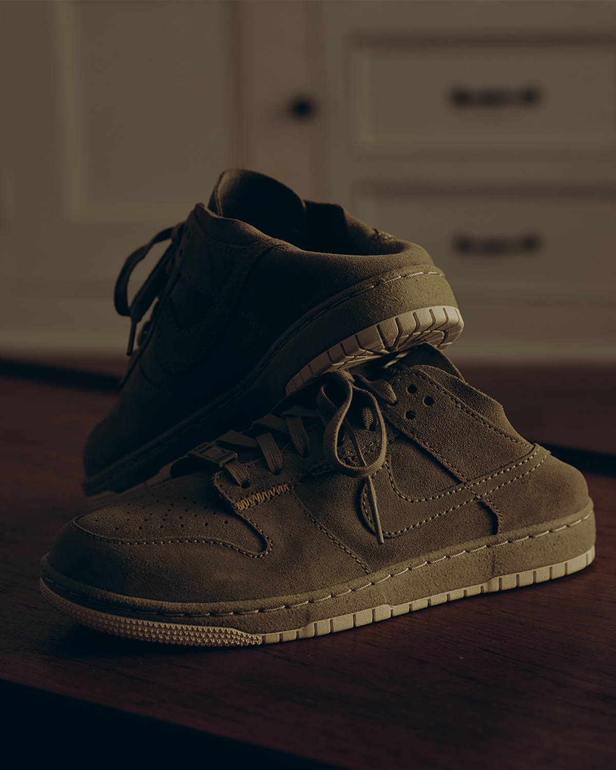 Union Nike Dunk Natural Selection 4