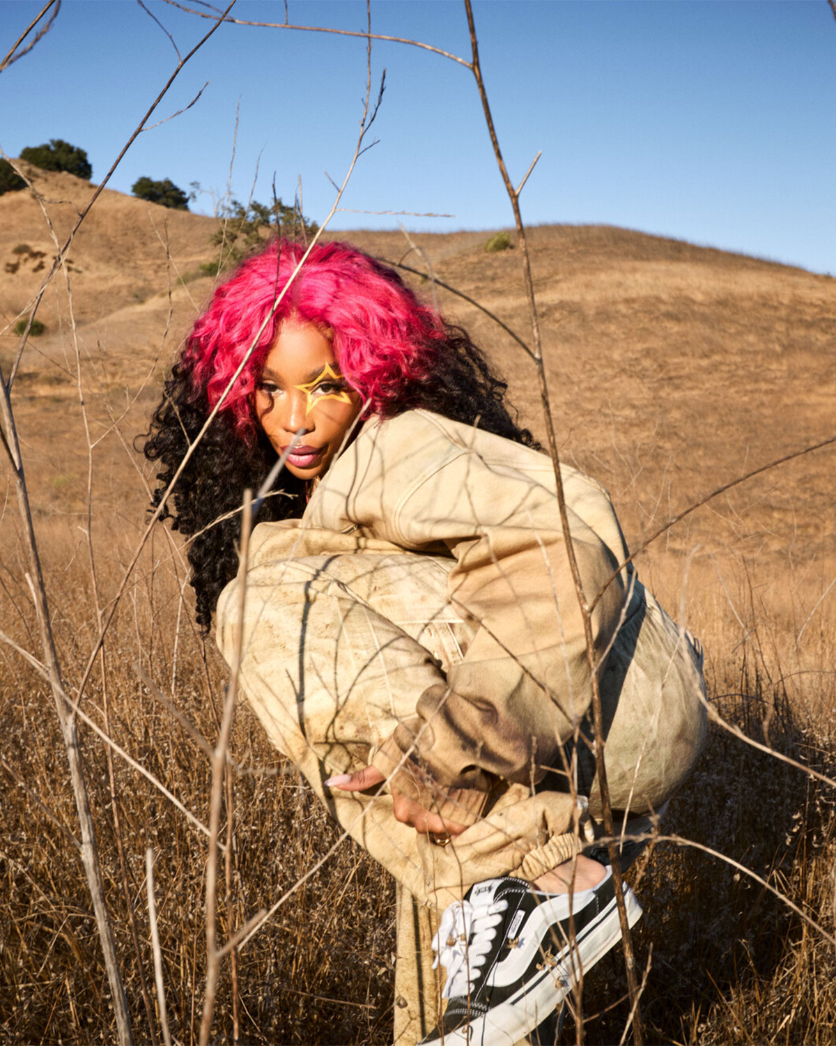 Vans Sza Release Date 14
